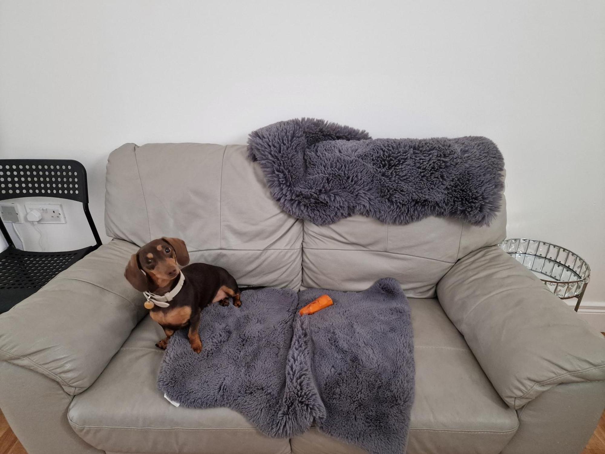 Hostel Aunty Katie'S House, Ni Tourist Board Certified & Located On The Main Oldpark Road To Belfast, With Free Continental Breakfast & Free Ultra Fast Sky Internet, Free Sky Sports & Free Sky Cinema, Self-Check In After 10Pm Gmt Exterior foto